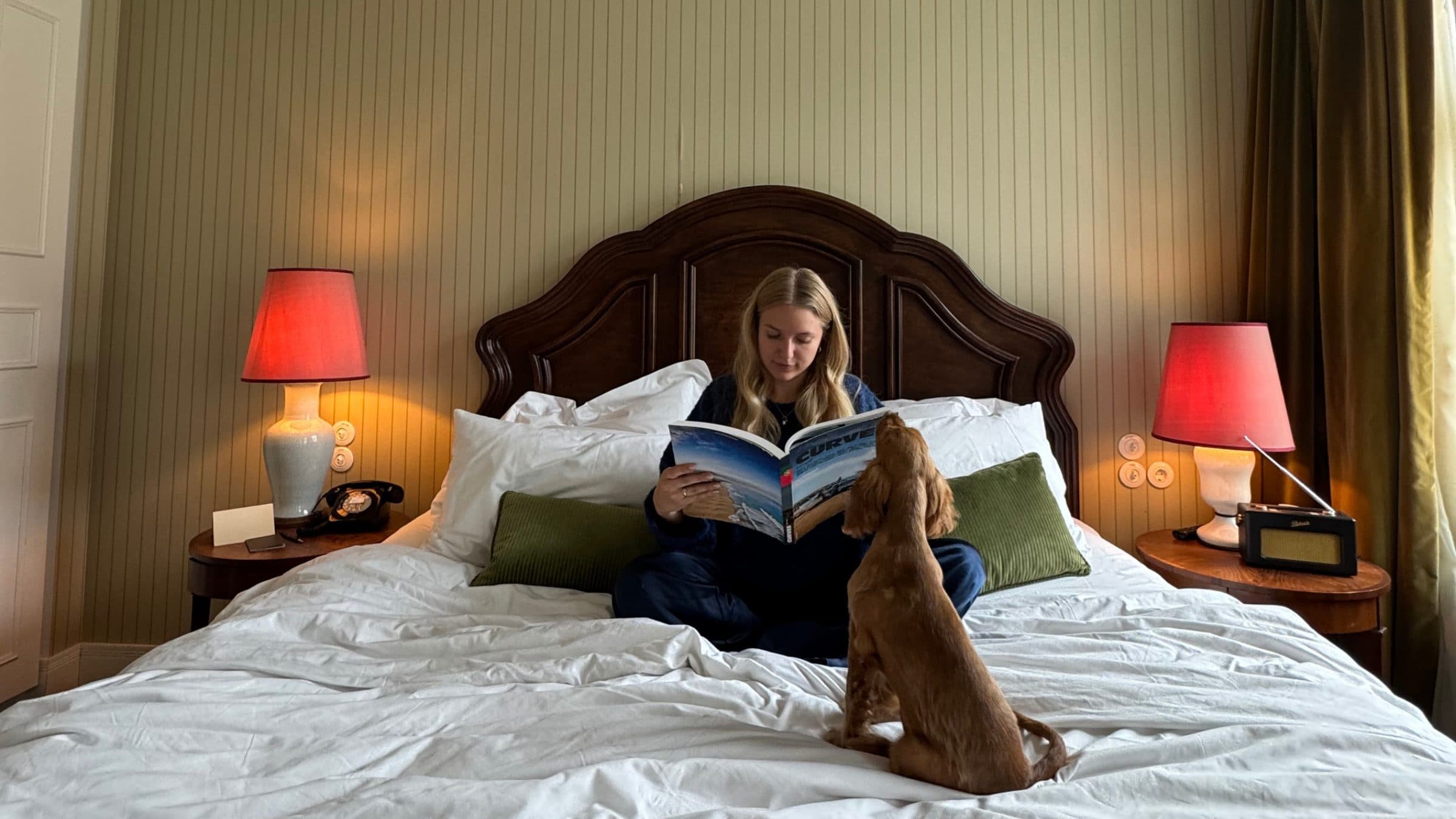 Jill liest im Bett, ihr Cocker Spaniel sitzt neben ihr